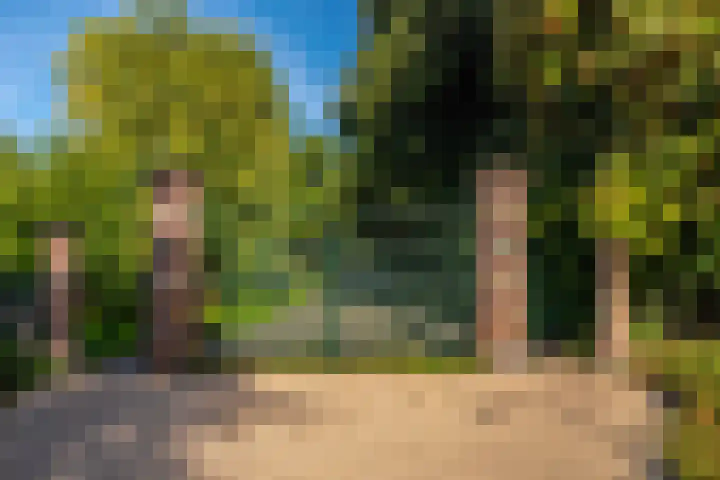 Velperweg 135 A Arnhem thumbnail 6