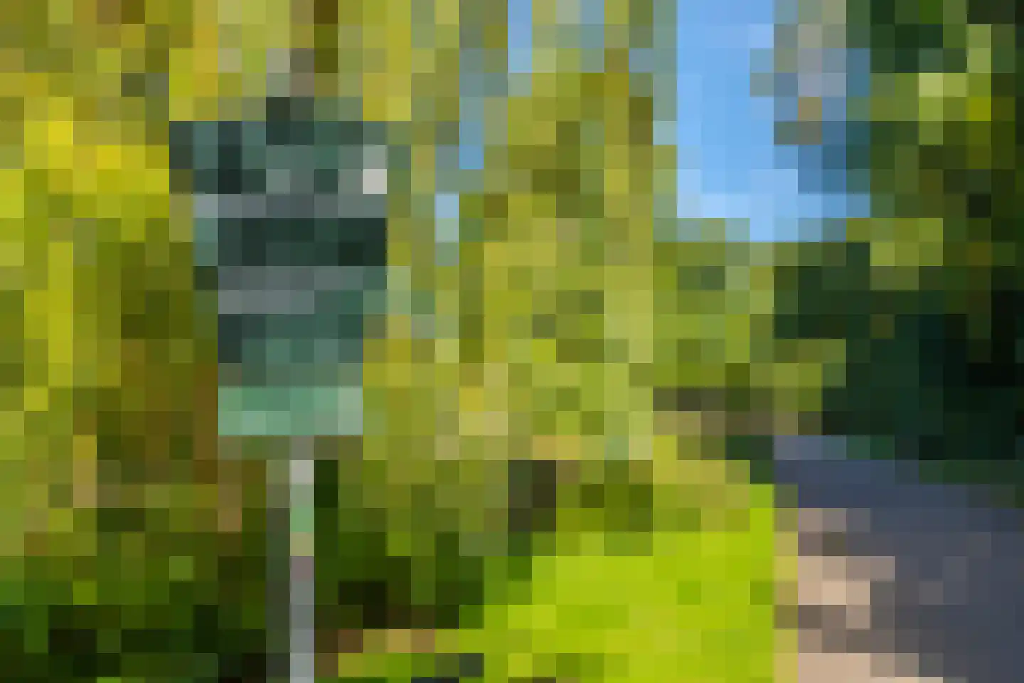 Velperweg 135 A Arnhem thumbnail 7