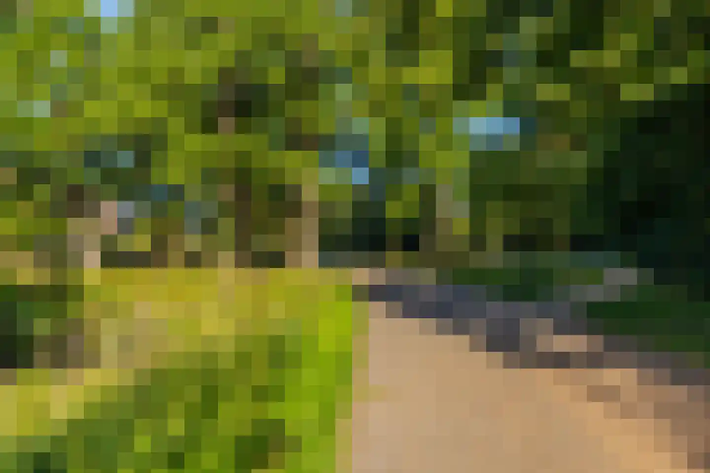 Velperweg 135 A Arnhem thumbnail 8