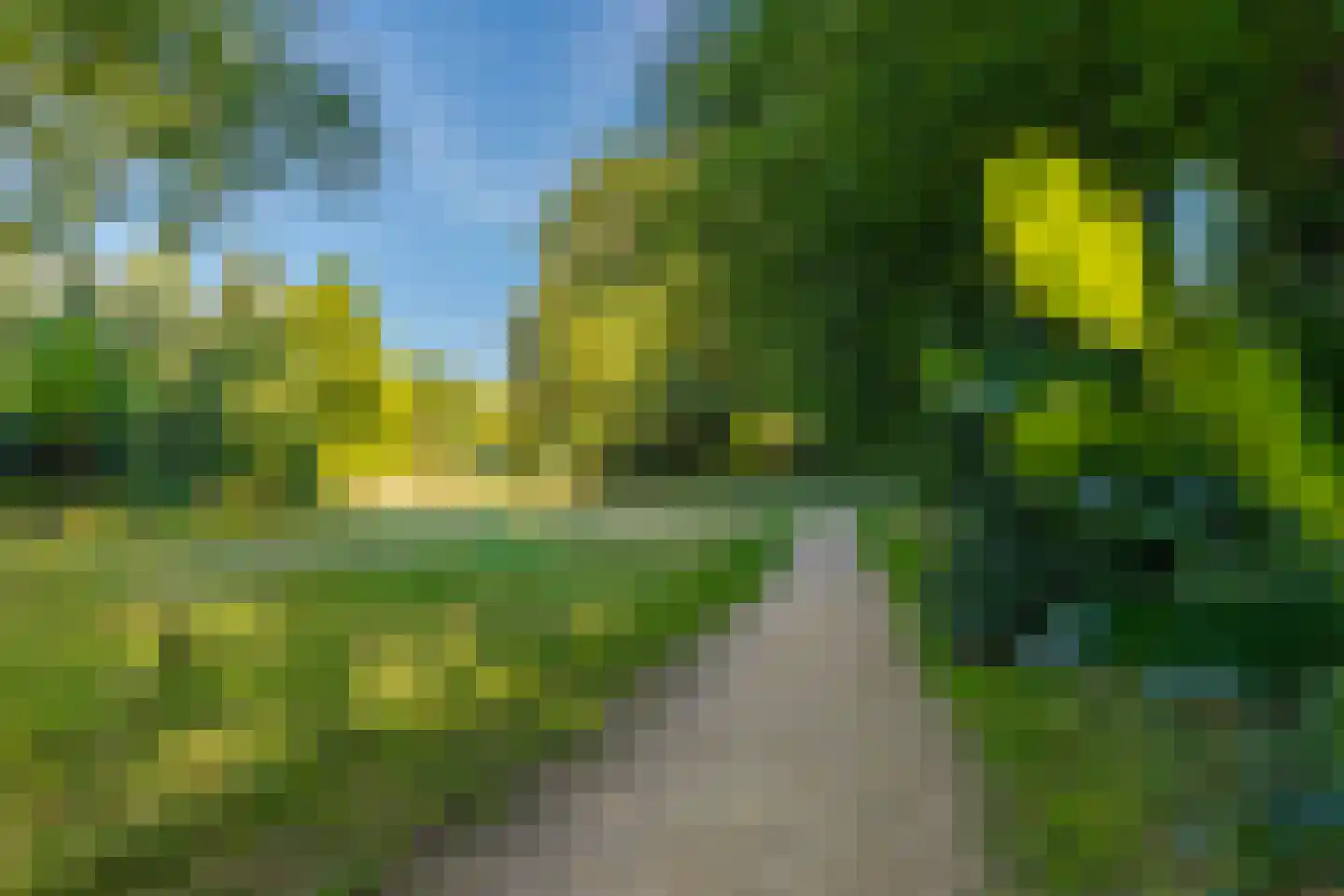 Velperweg 135 A Arnhem thumbnail 9