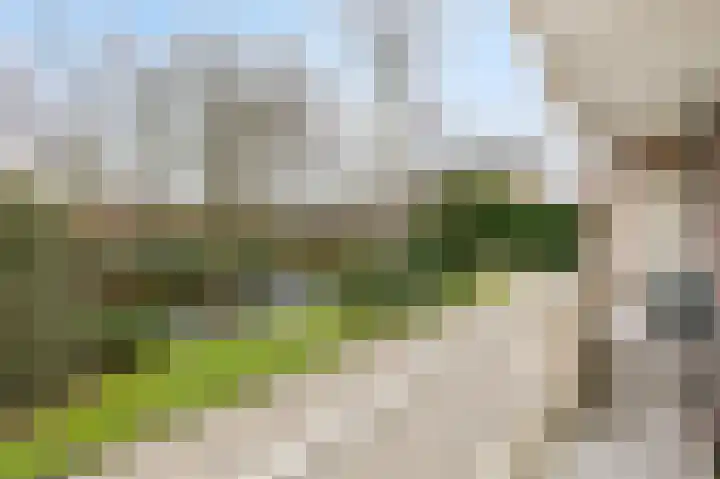 Velperweg 180 1 Arnhem thumbnail 22