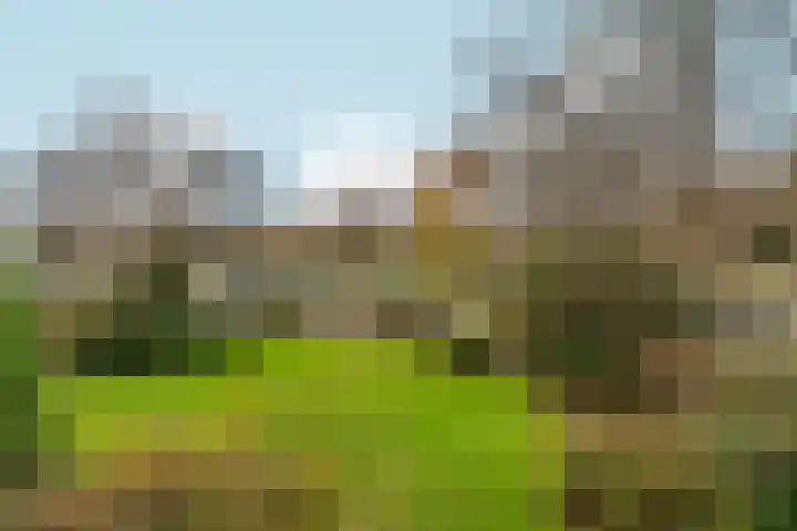Velperweg 186 1 Arnhem thumbnail 27
