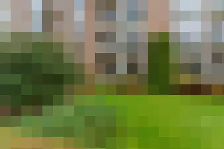 Velperweg 186 1 Arnhem thumbnail 38