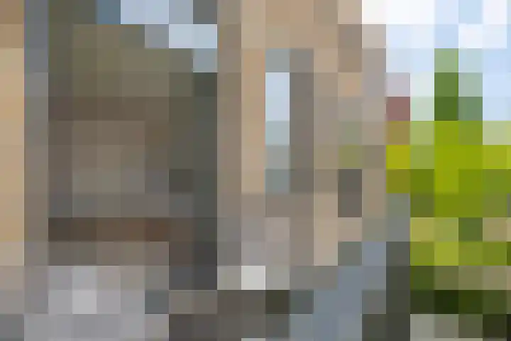 Velperweg 19 113 Arnhem thumbnail 19