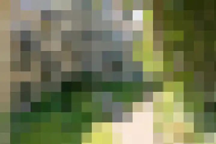 Velperweg 19 113 Arnhem thumbnail 8