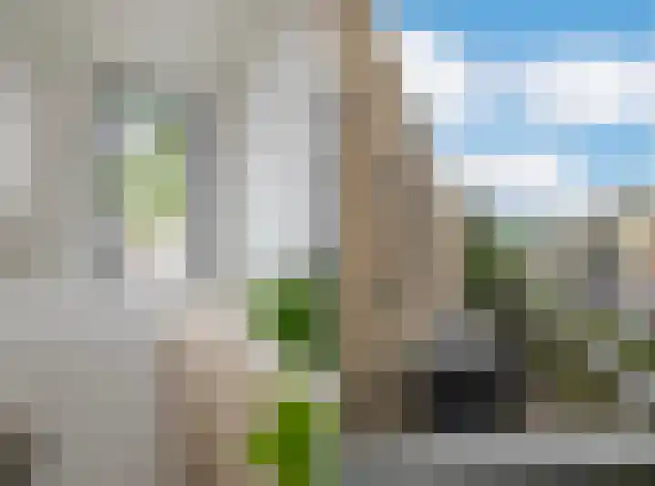 Velperweg 19 114 Arnhem thumbnail 20