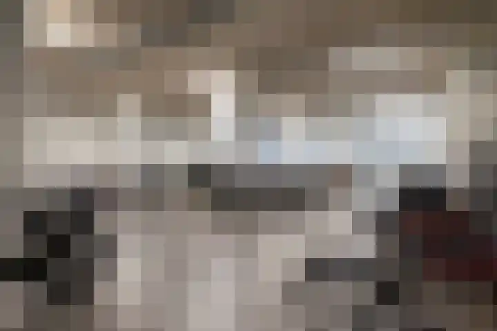 Velperweg 19 114 Arnhem thumbnail 25