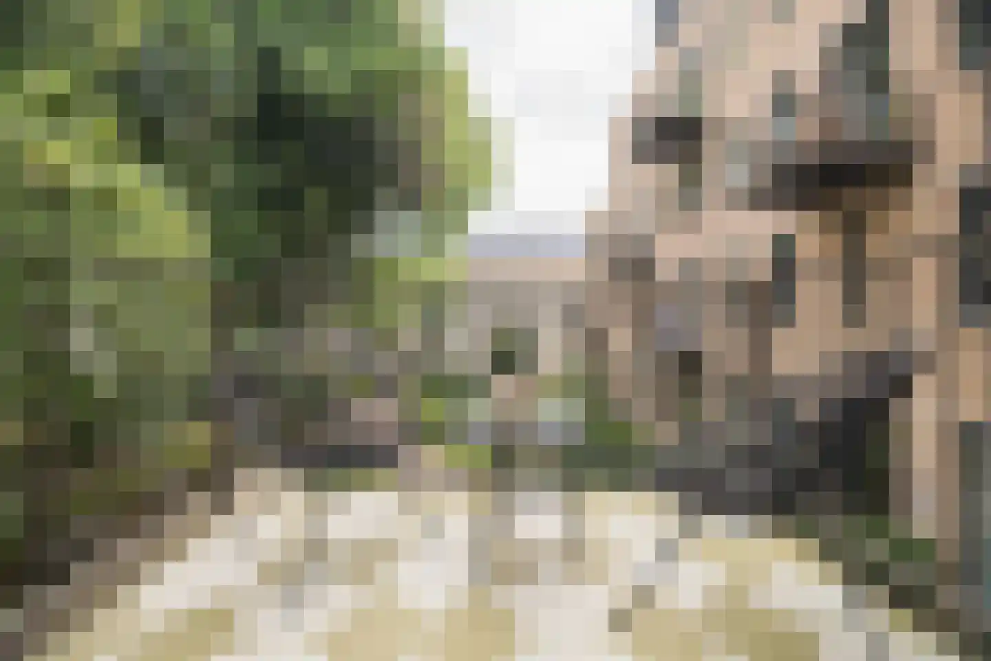 Velperweg 19 121 Arnhem thumbnail 21
