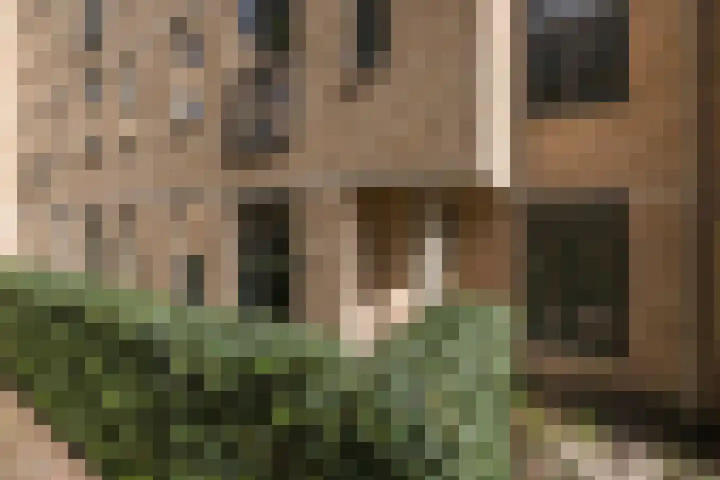 Velperweg 19 2 Arnhem thumbnail 5
