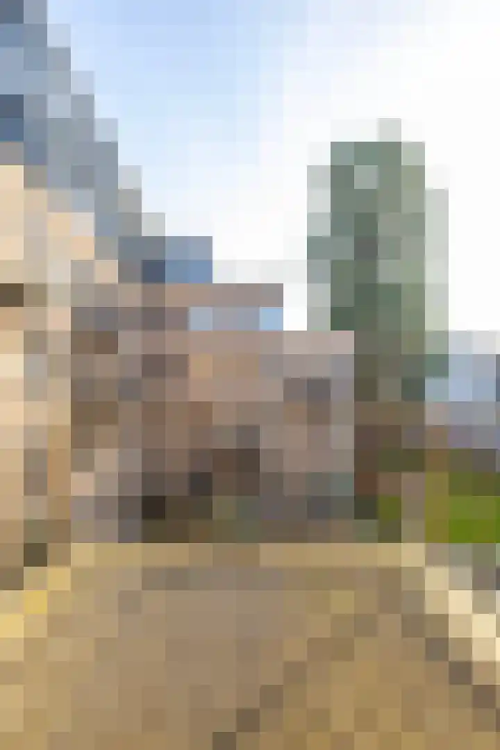 Velperweg 19 211 Arnhem thumbnail 19