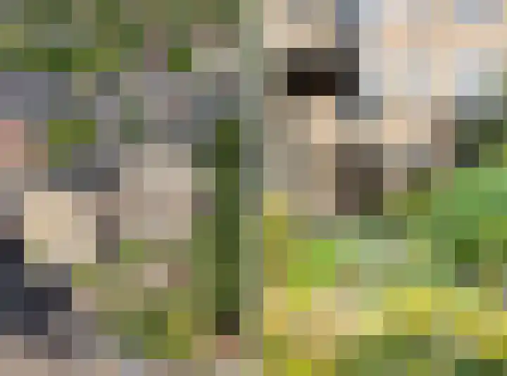 Velperweg 19 9 Arnhem thumbnail 7
