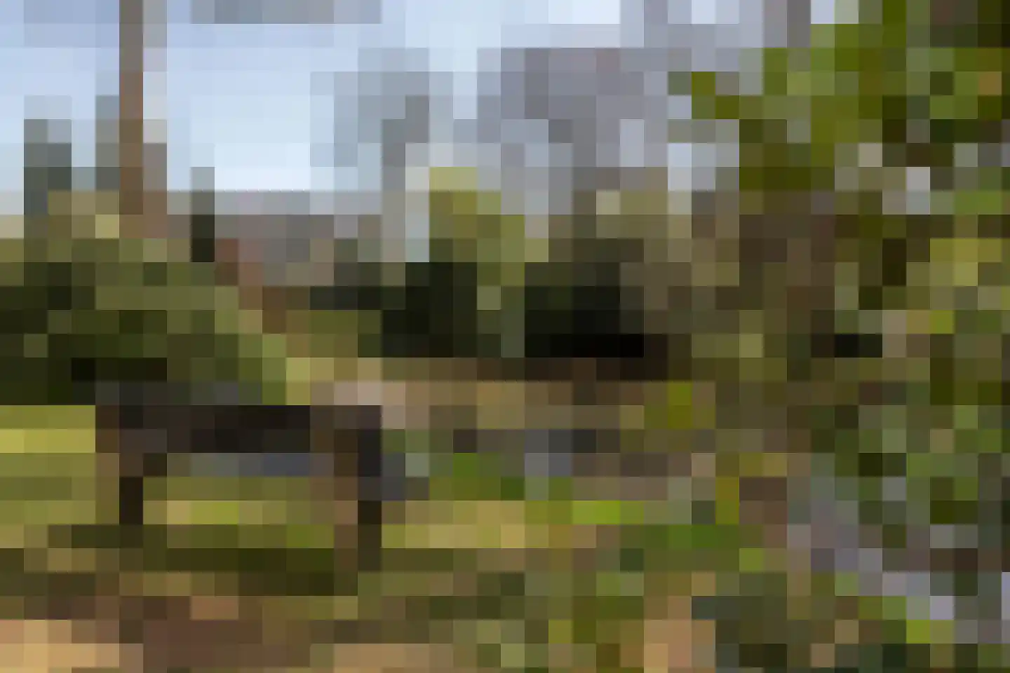 Velperweg 190 3 Arnhem thumbnail 27