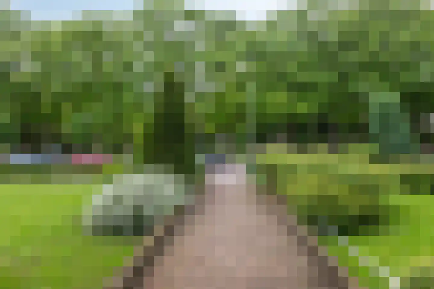 Velperweg 194 4 Arnhem thumbnail 6