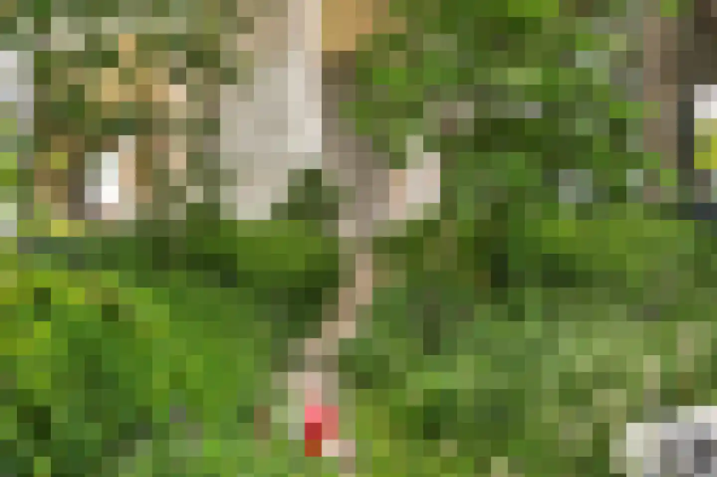 Velperweg 47 1002 Arnhem thumbnail 38