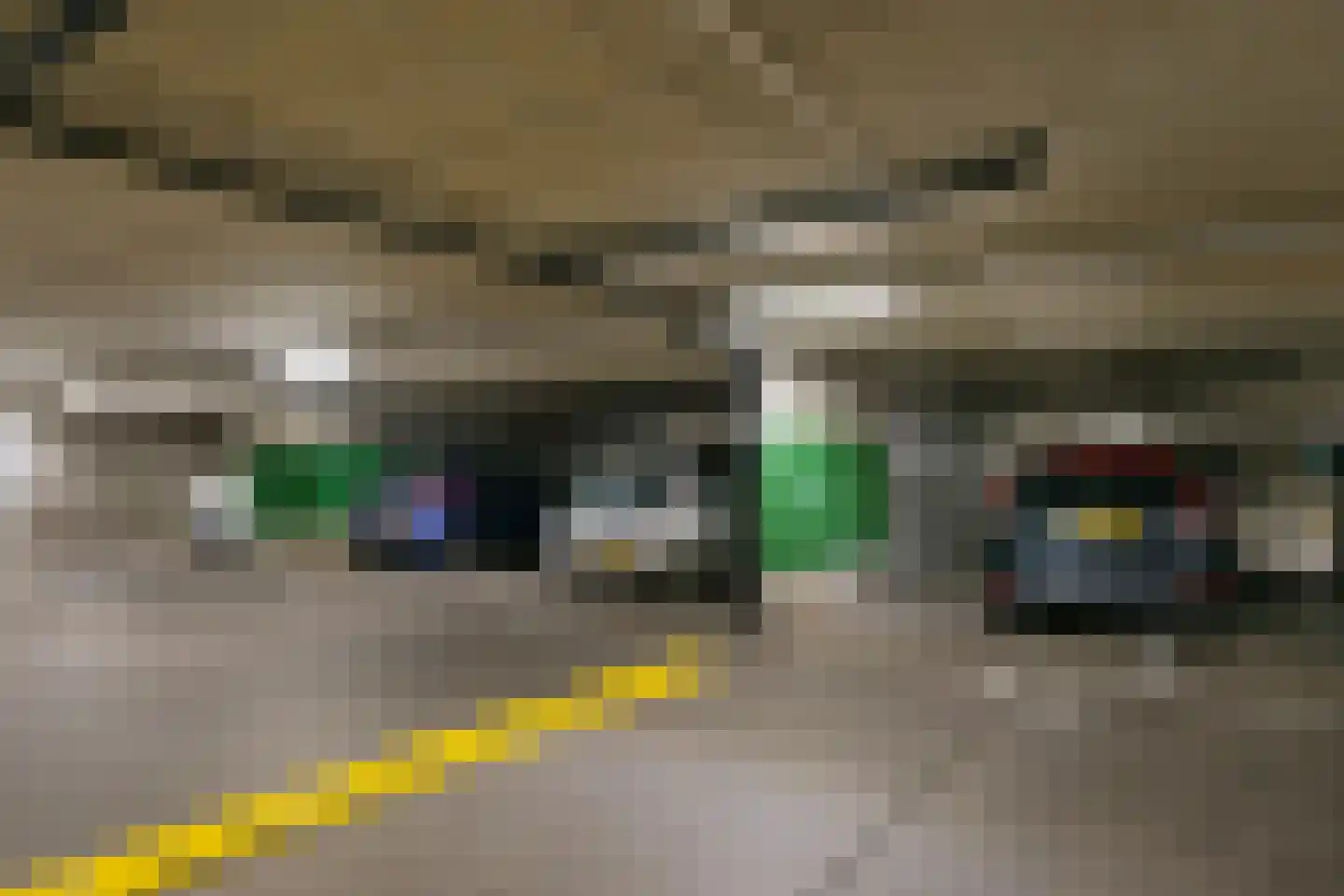 Velperweg 47 1010 Arnhem thumbnail 45