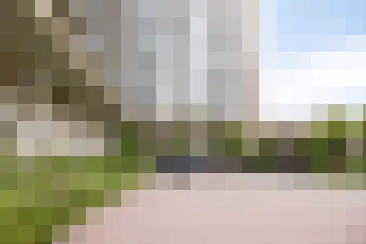 Velperweg 47 1012 Arnhem thumbnail 30