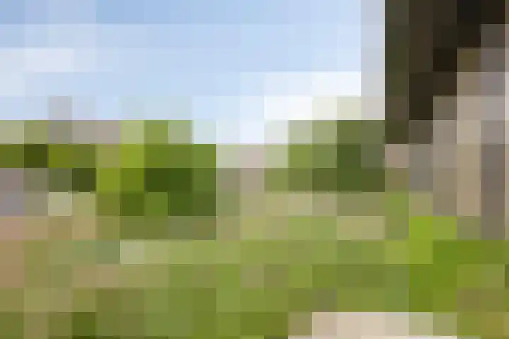 Velperweg 47 1012 Arnhem thumbnail 37