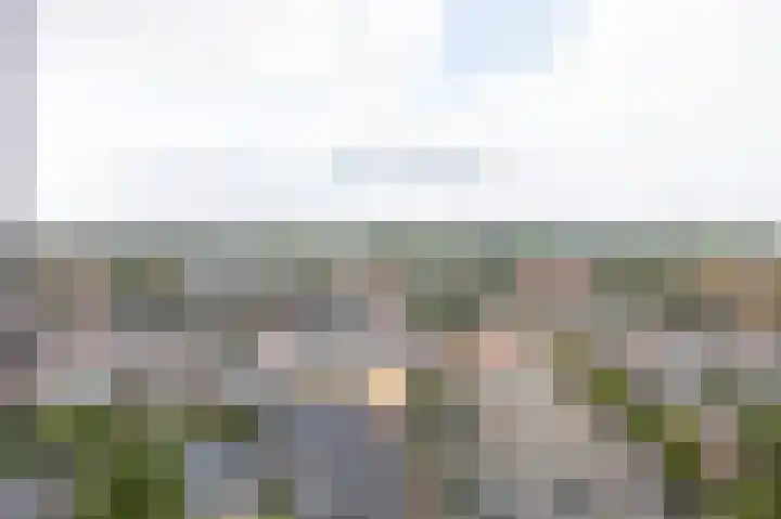 Velperweg 47 1101 Arnhem thumbnail 37