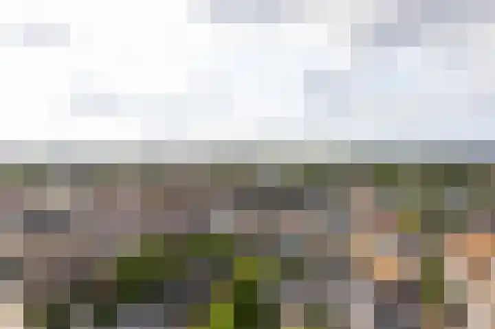 Velperweg 47 1101 Arnhem thumbnail 5