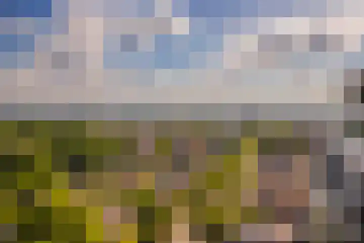 Velperweg 47 1307 Arnhem thumbnail 35