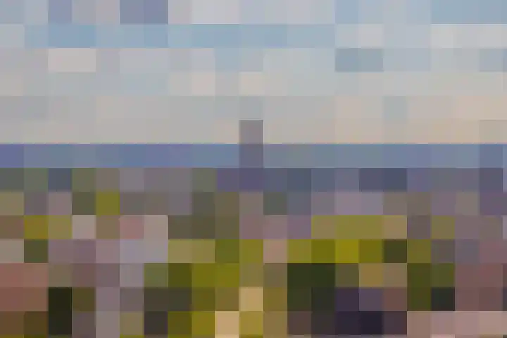 Velperweg 47 1307 Arnhem thumbnail 36