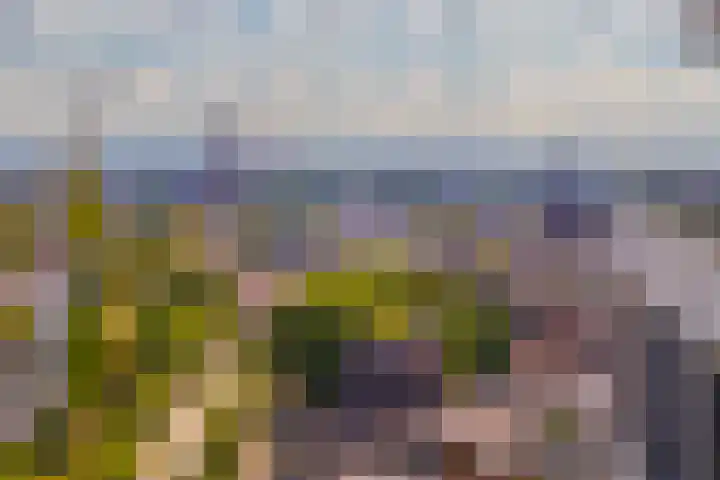 Velperweg 47 1307 Arnhem thumbnail 37