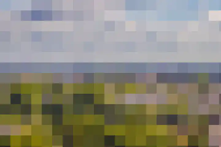 Velperweg 47 1307 Arnhem thumbnail 39