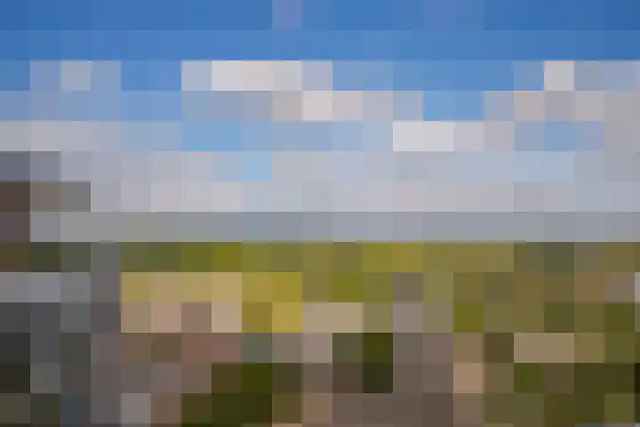 Velperweg 47 1307 Arnhem thumbnail 40