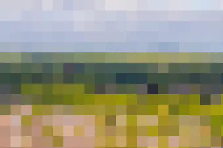 Velperweg 47 1307 Arnhem thumbnail 41