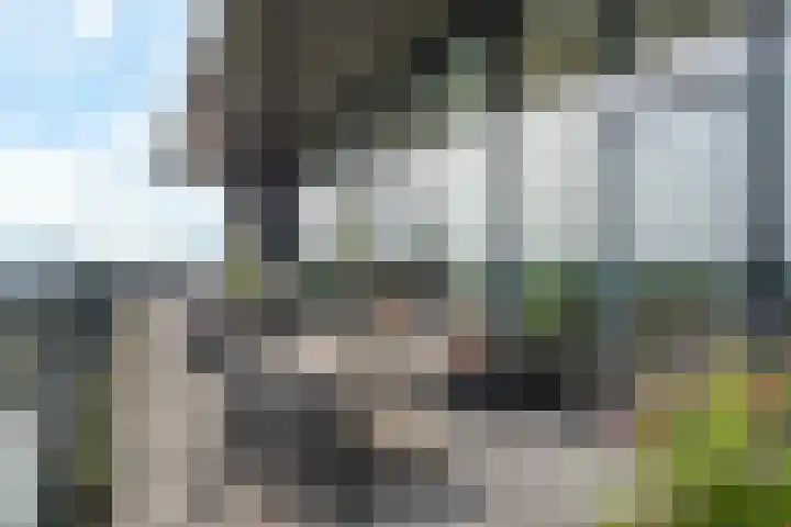 Velperweg 47 1309 Arnhem thumbnail 27