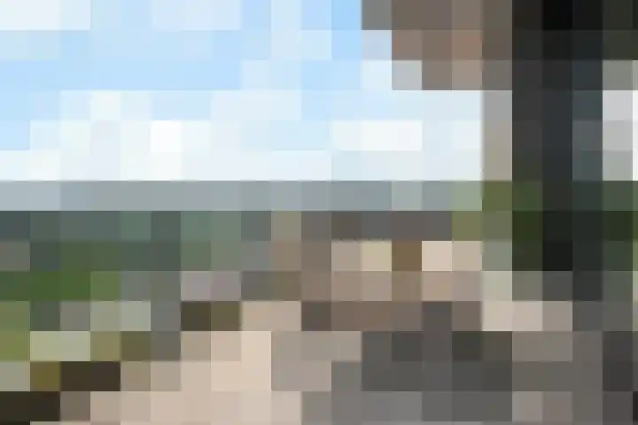 Velperweg 47 1309 Arnhem thumbnail 31