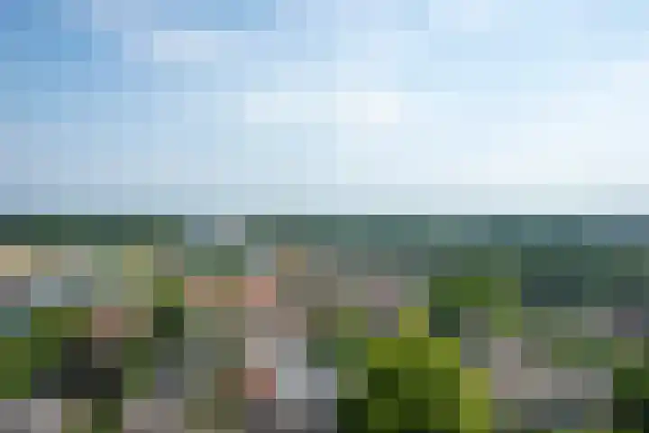 Velperweg 47 1309 Arnhem thumbnail 32