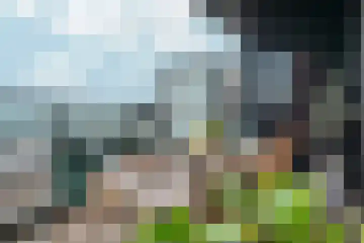 Velperweg 47 1501 Arnhem thumbnail 27