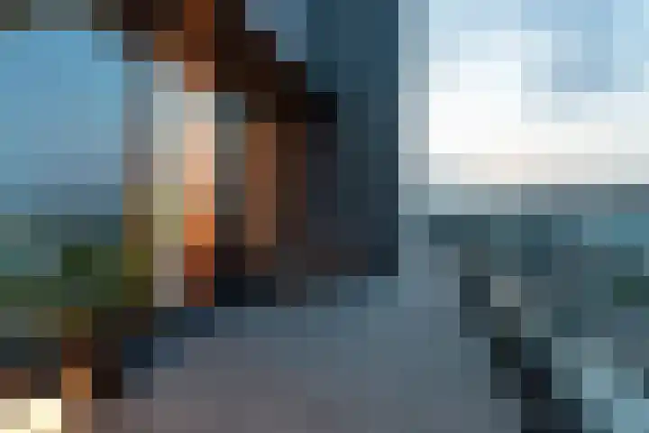 Velperweg 47 1501 Arnhem thumbnail 32