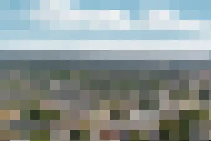 Velperweg 47 1501 Arnhem thumbnail 34