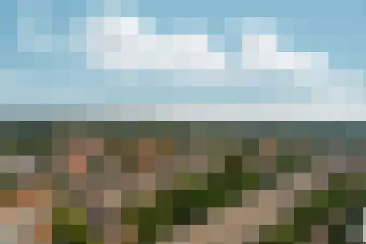 Velperweg 47 1501 Arnhem thumbnail 35