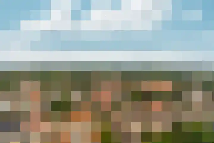 Velperweg 47 1501 Arnhem thumbnail 36