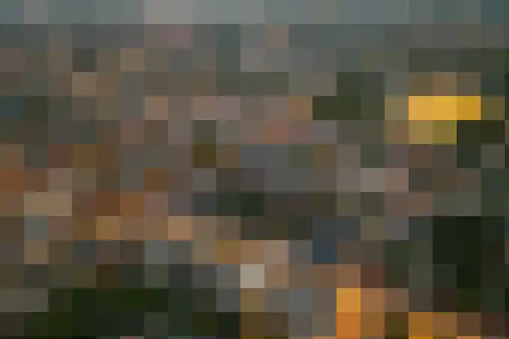 Velperweg 47 1501 Arnhem thumbnail 37