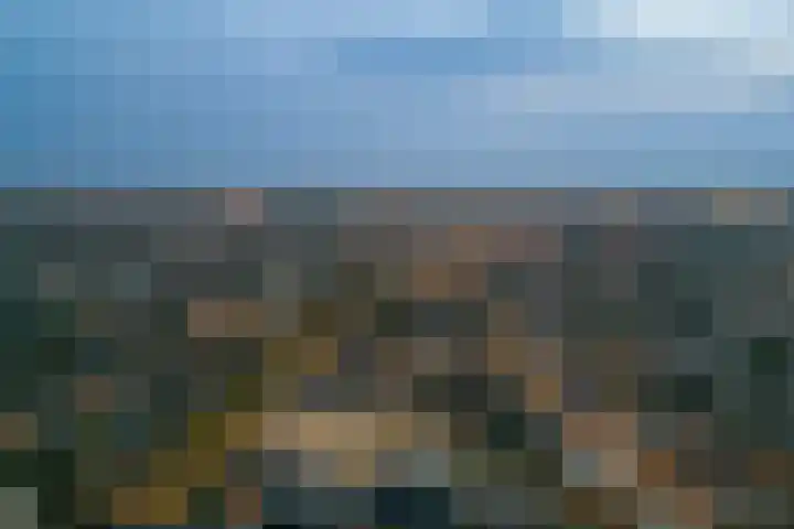 Velperweg 47 1501 Arnhem thumbnail 38