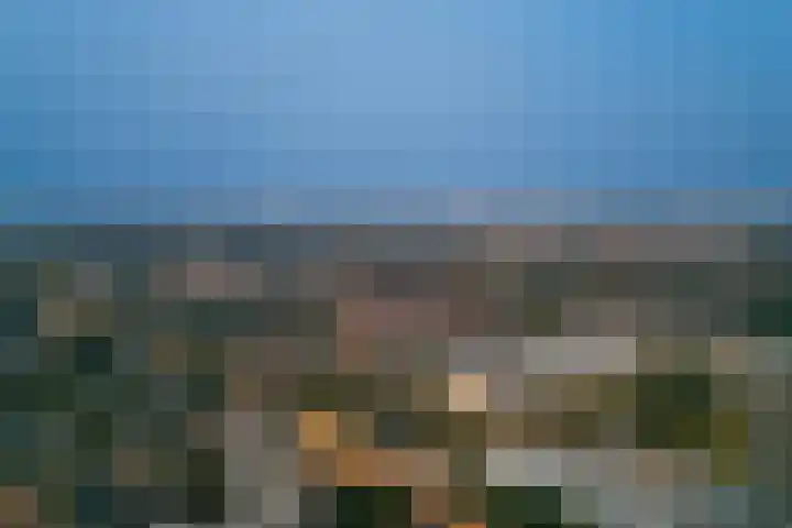 Velperweg 47 1501 Arnhem thumbnail 39