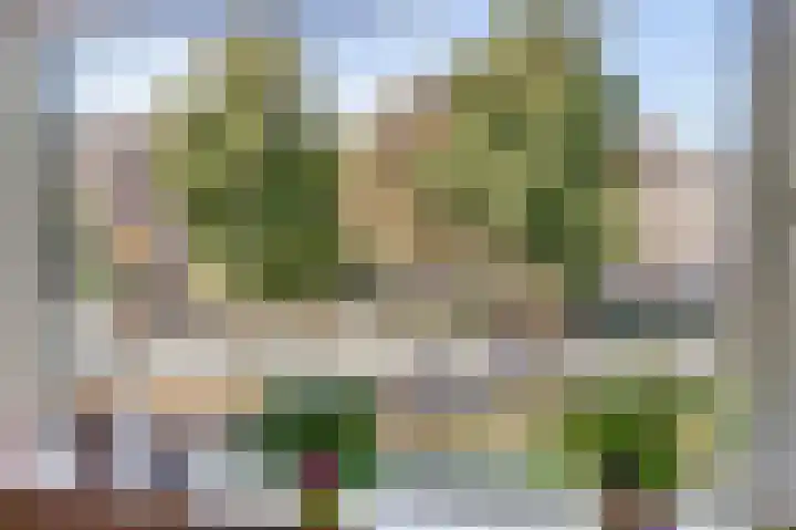 Velperweg 48 A 2 Arnhem thumbnail 27