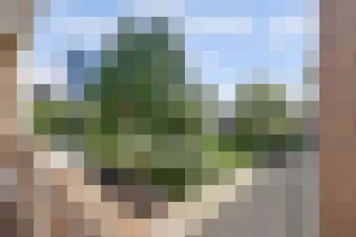 Velperweg 48 A 2 Arnhem thumbnail 41