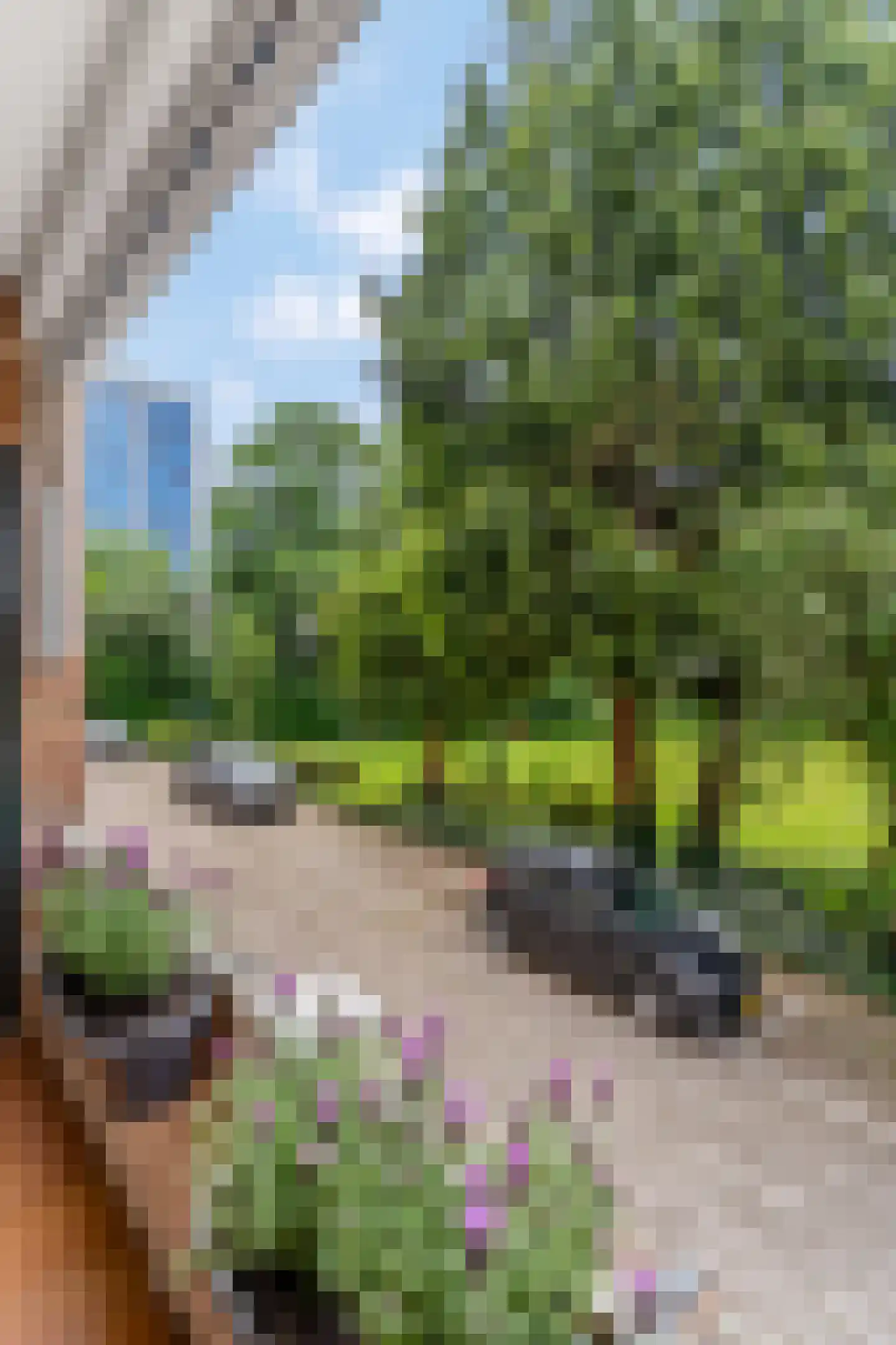 Velperweg 48 B 1 Arnhem thumbnail 10