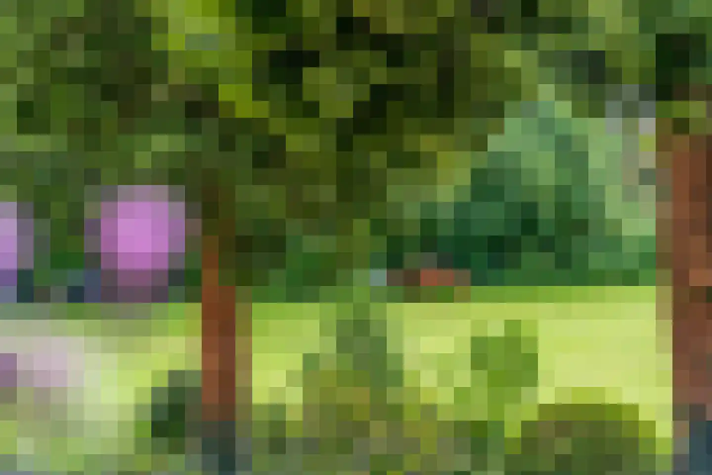 Velperweg 48 B 1 Arnhem thumbnail 11