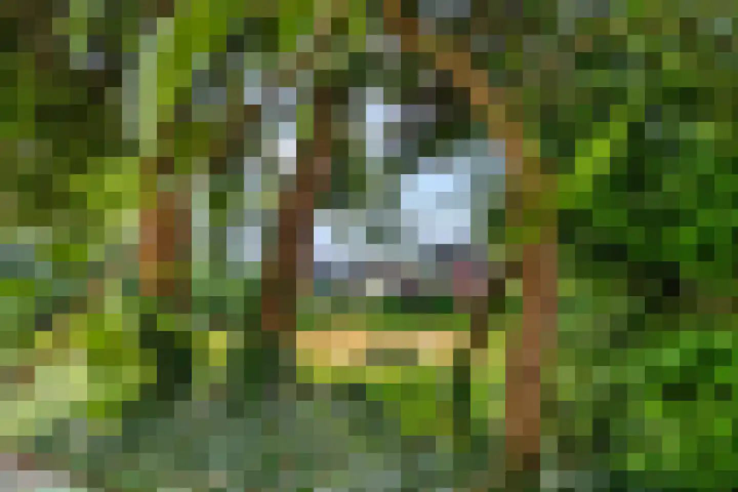 Velperweg 48 B 1 Arnhem thumbnail 12