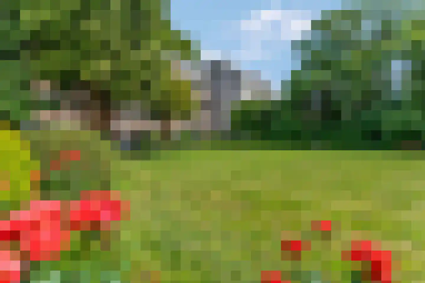 Velperweg 48 B 1 Arnhem thumbnail 13