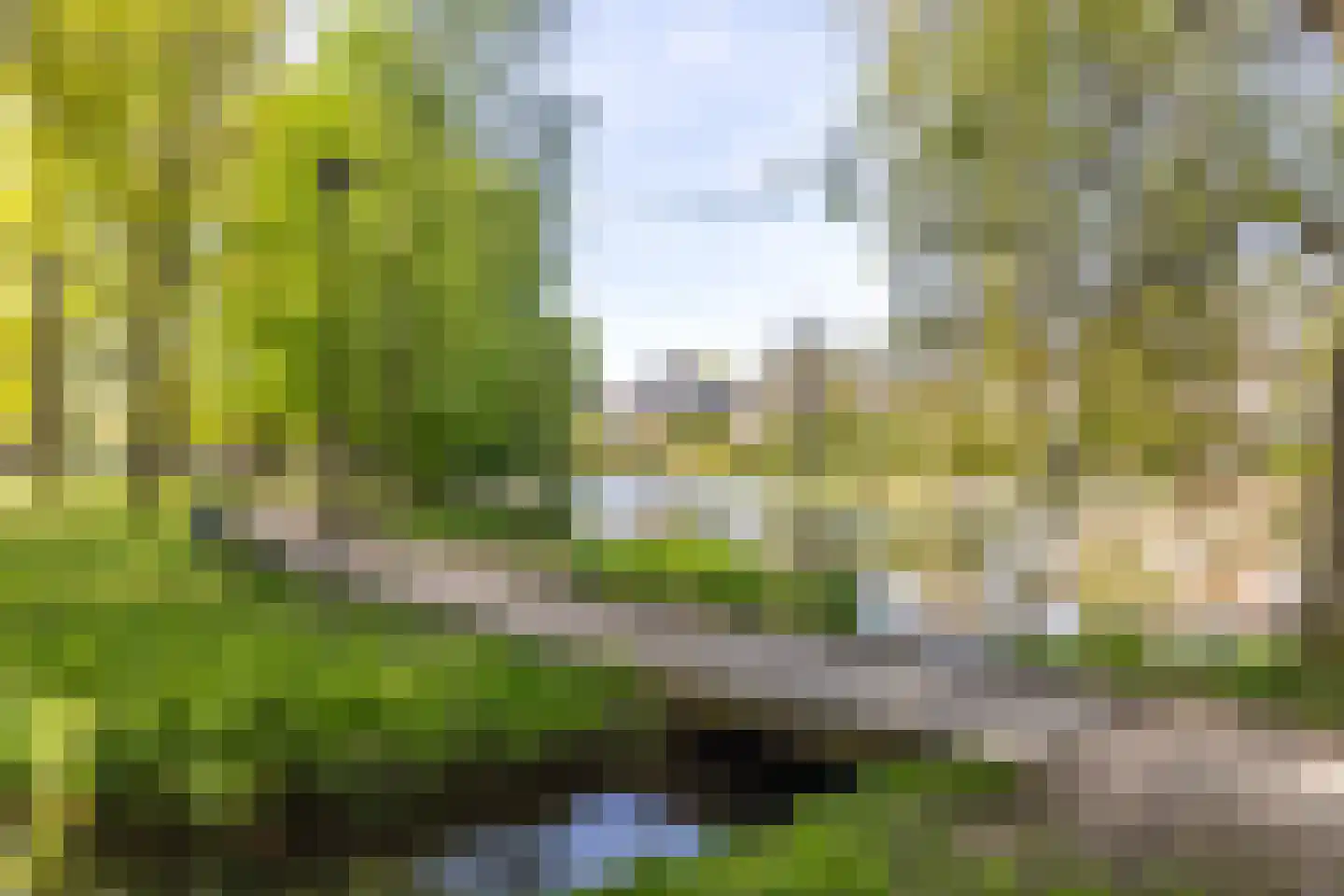 Velperweg 48 B 1 Arnhem thumbnail 30