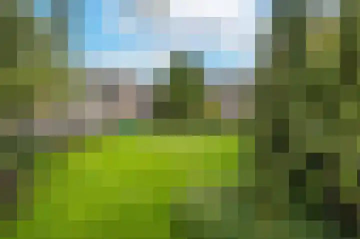 Velperweg 50 2 Arnhem thumbnail 10