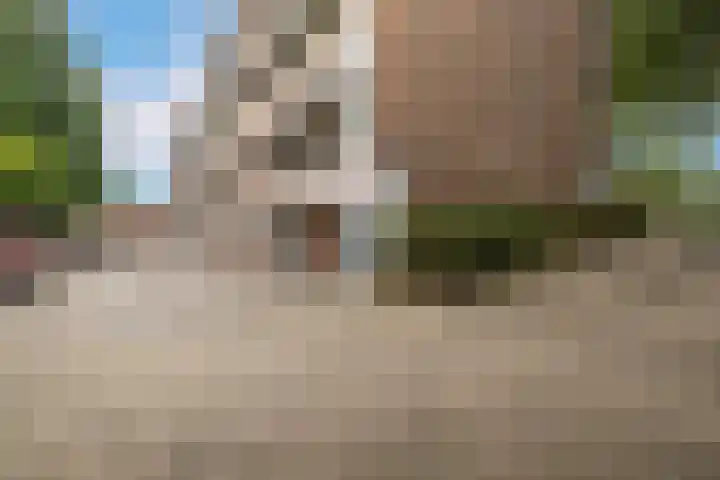 Velperweg 50 2 Arnhem thumbnail 50