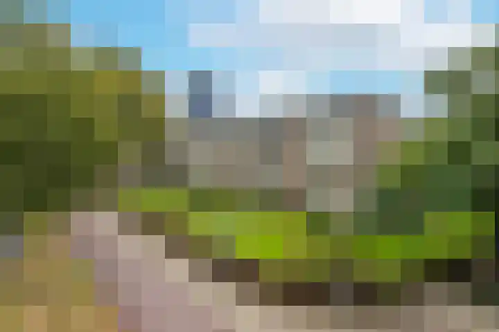 Velperweg 50 2 Arnhem thumbnail 7